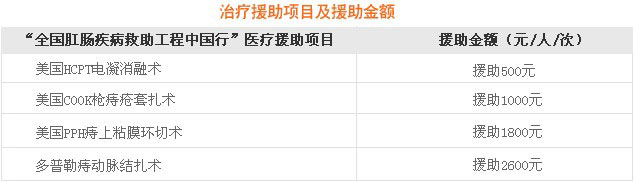 援助项目及金额